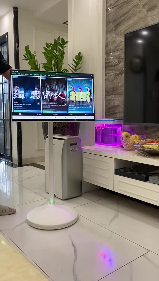 27" Portable Smart TV with Wheels